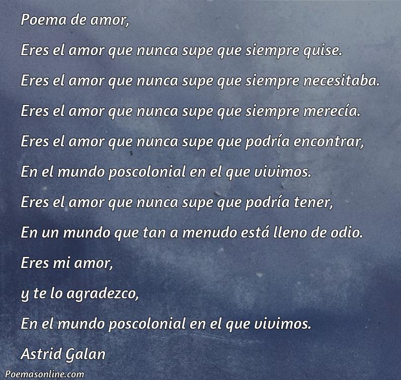 Excelente Poema de Amor Poscolonial, Poemas de Amor Poscolonial