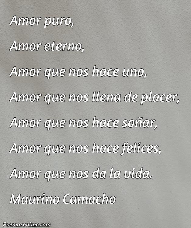 Corto Poema de Amor Puro, 5 Poemas de Amor Puro