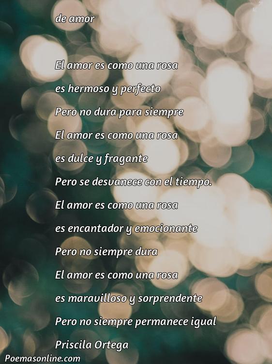 Lindo Poema de Amor sobre los Primeros Meses, Poemas de Amor sobre los Primeros Meses