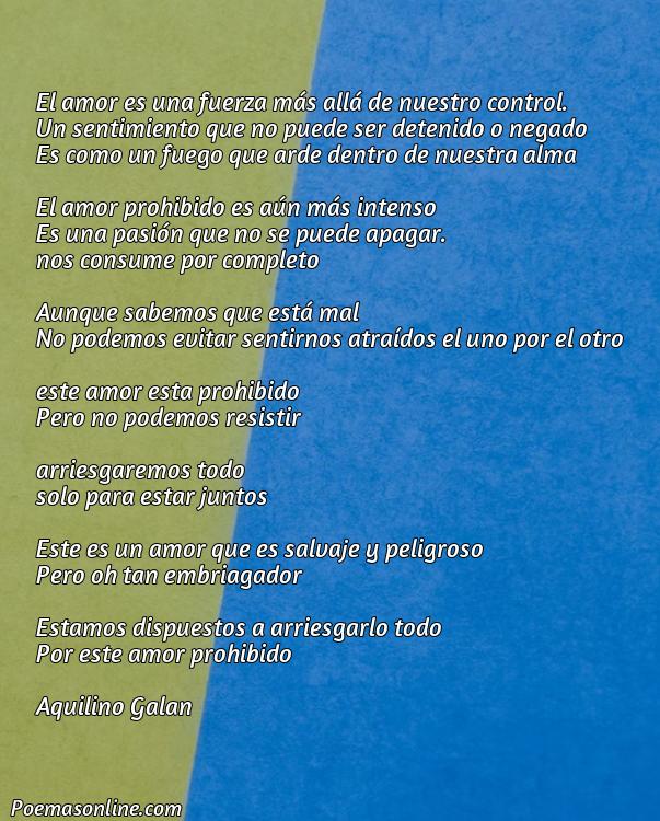 Hermoso Poema de Amores Imposibles y Prohibidos, Poemas de Amores Imposibles y Prohibidos