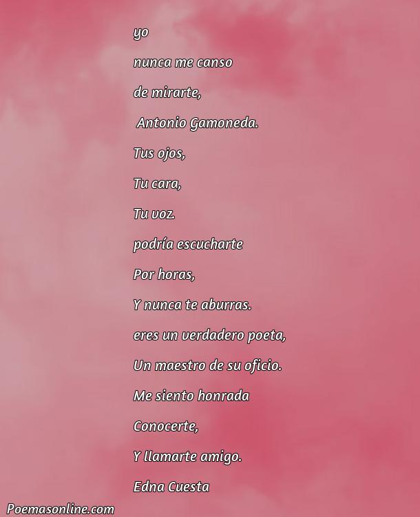 Excelente Poema de Antonio Gamoneda, Poemas de Antonio Gamoneda