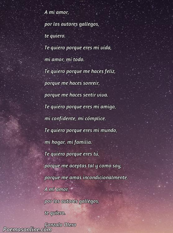 Cinco Mejores Poemas de Autores Gallegos