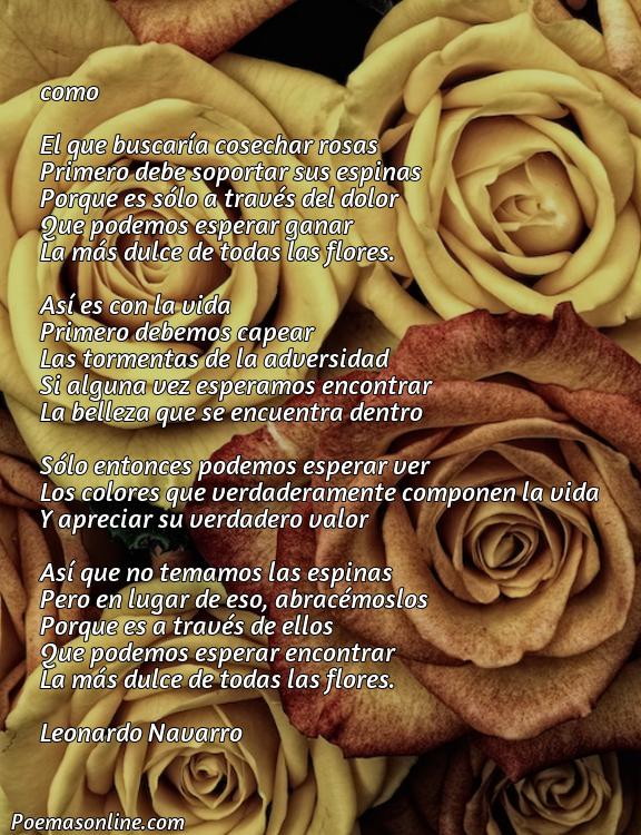 Mejor Poema de Baudelaire las Flores Mal, 5 Poemas de Baudelaire las Flores Mal