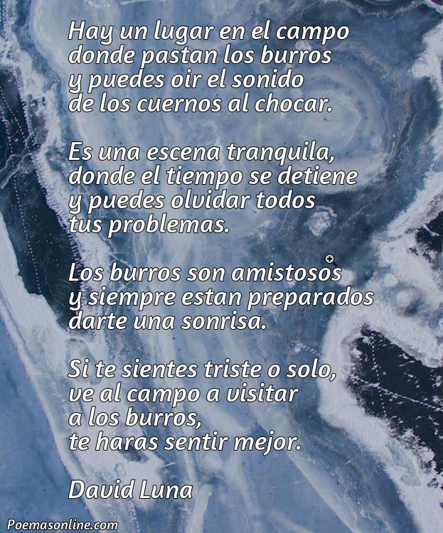 Lindo Poema de Burros, Cinco Poemas de Burros