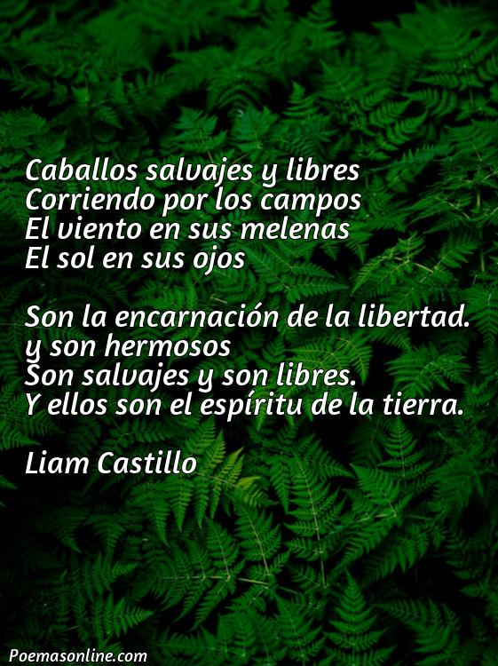 Reflexivo Poema de Caballos Salvajes, Poemas de Caballos Salvajes