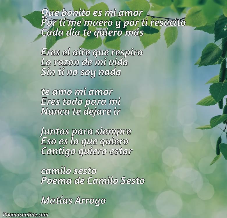 Excelente Poema de Camilo Sesto, 5 Mejores Poemas de Camilo Sesto