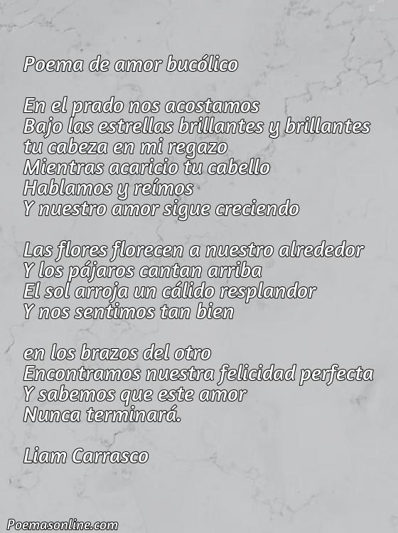 Excelente Poema de Carácter Bucólico y Tema Amoroso, 5 Poemas de Carácter Bucólico y Tema Amoroso