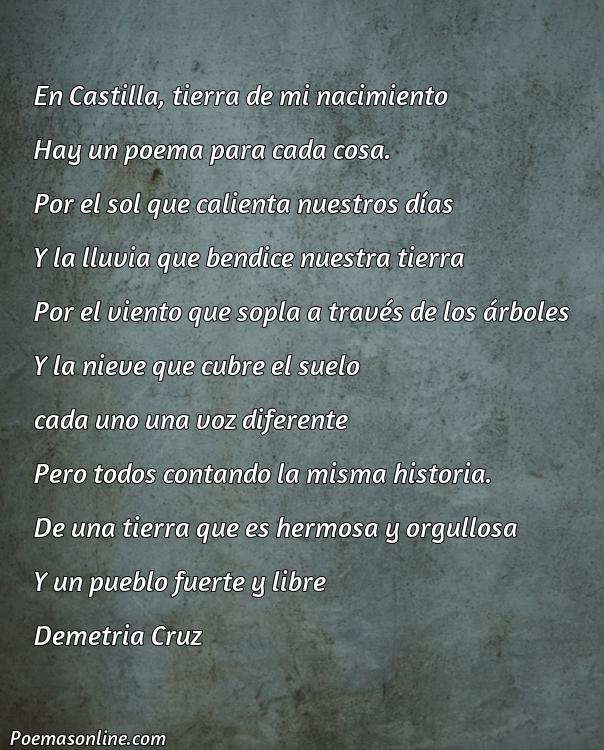 Mejor Poema de Castilla, 5 Poemas de Castilla