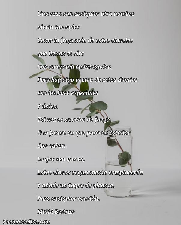 Corto Poema de Claveles, 5 Mejores Poemas de Claveles