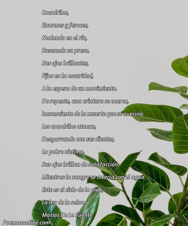 5 Mejores Poemas de Cocodrilos