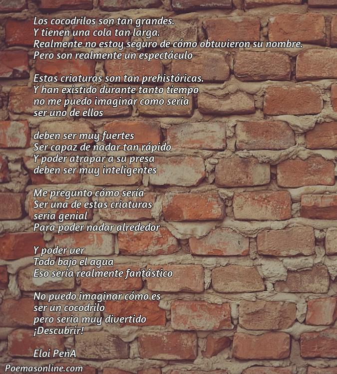 Excelente Poema de Cocodrilos, 5 Poemas de Cocodrilos