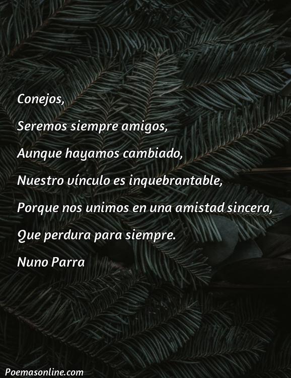 Lindo Poema de Conejos, 5 Poemas de Conejos