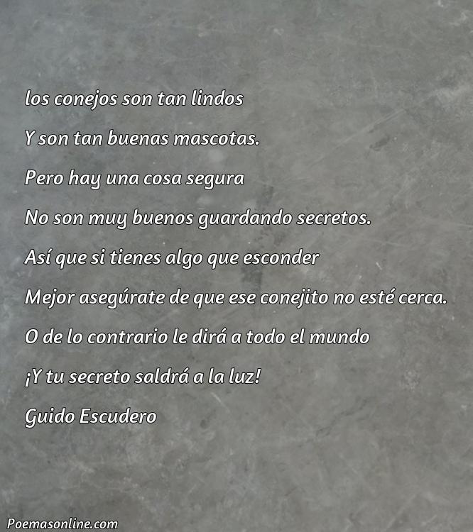 Lindo Poema de Conejos, Poemas de Conejos