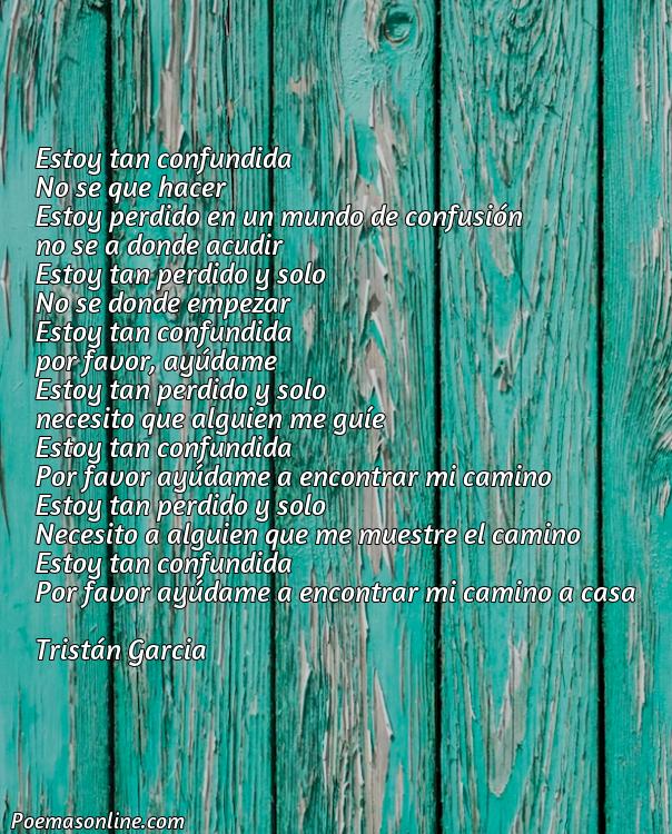 Mejor Poema de Confusión, Poemas de Confusión