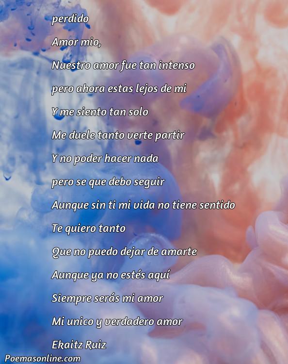 Reflexivo Poema de Desilusión Por un Amor, Poemas de Desilusión Por un Amor