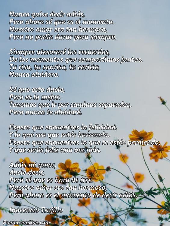 Reflexivo Poema de Despedida de Amor, Cinco Mejores Poemas de Despedida de Amor