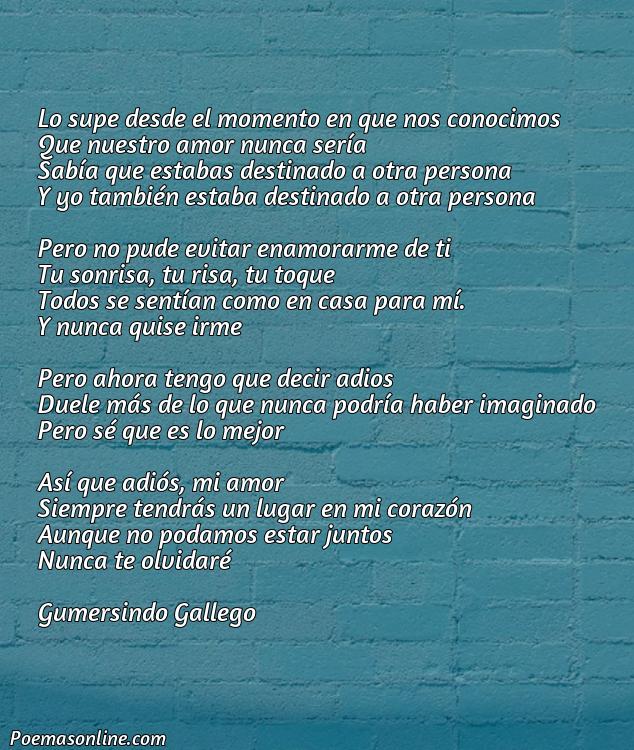 Mejor Poema de Despedida para un Amor Imposible, Poemas de Despedida para un Amor Imposible