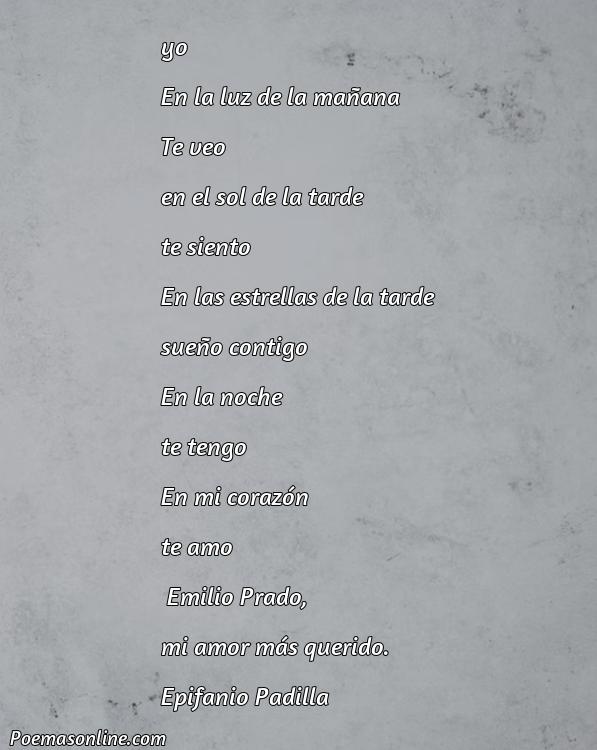 Excelente Poema de Emilio Prado, Poemas de Emilio Prado