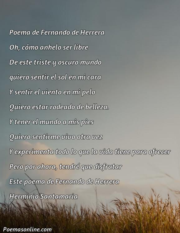 Corto Poema de Fernando de Herrera, Poemas de Fernando de Herrera