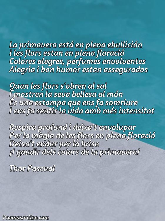 Excelente Poema de Flors en Catalán, Cinco Poemas de Flors en Catalán