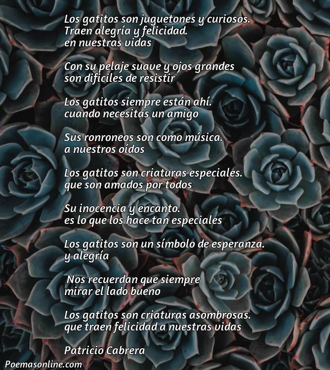 Hermoso Poema de Gatitos, Poemas de Gatitos