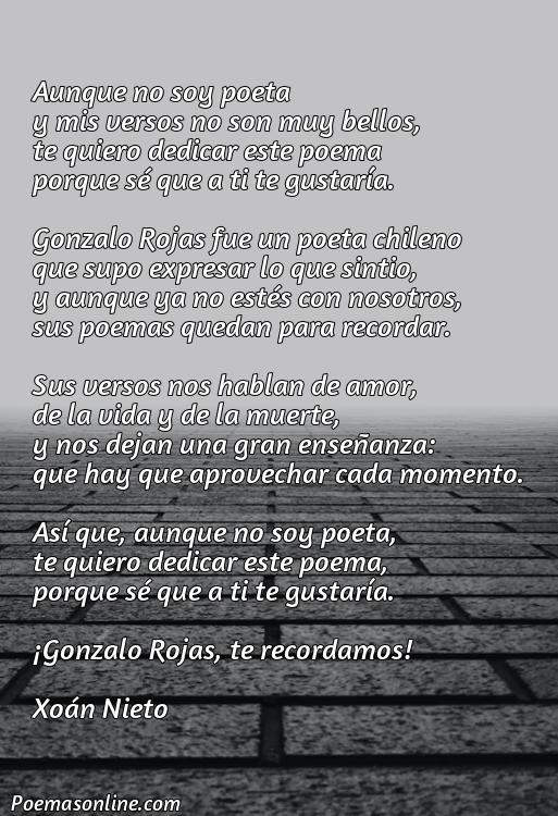 Hermoso Poema de Gonzalo Rojas, Poemas de Gonzalo Rojas