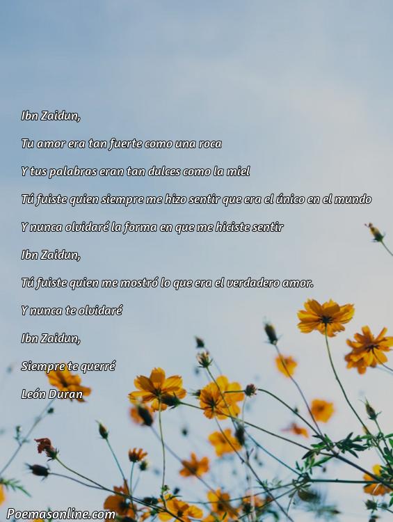 Corto Poema de Ibn Zaydun, Poemas de Ibn Zaydun