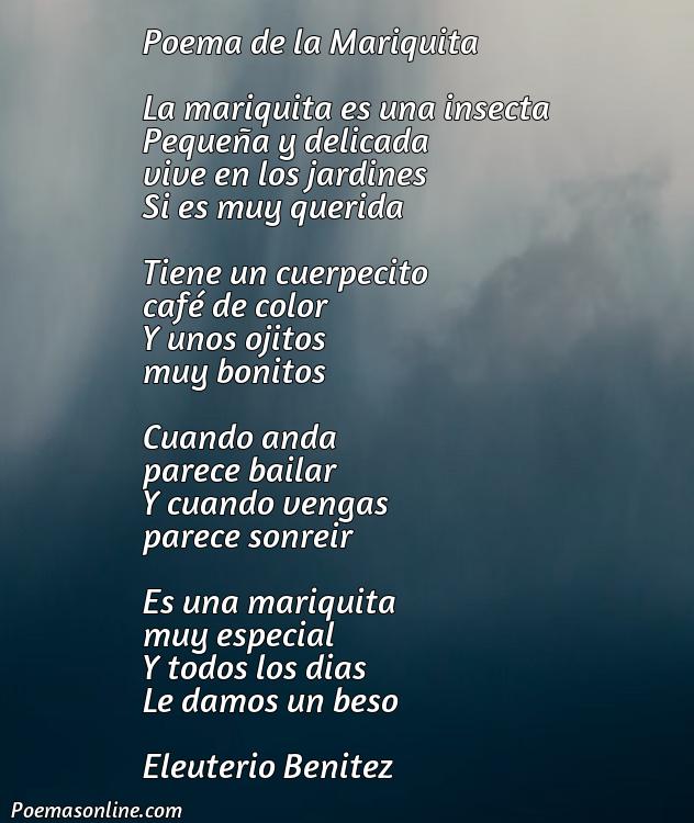 Hermoso Poema de la Mariquita, Cinco Poemas de la Mariquita