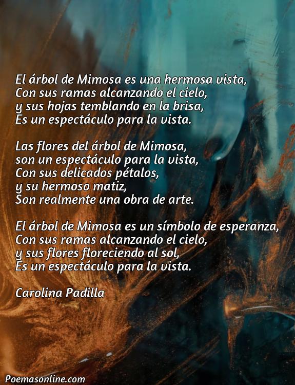 Lindo Poema de la Mimosa, 5 Poemas de la Mimosa