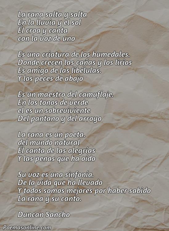 Corto Poema de la Rana, 5 Mejores Poemas de la Rana