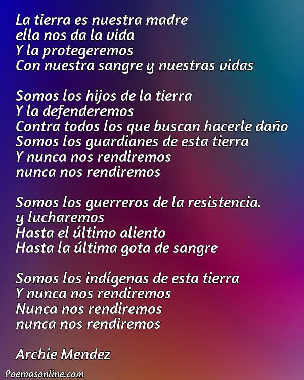 Lindo Poema de la Resistencia Indígena, Poemas de la Resistencia Indígena