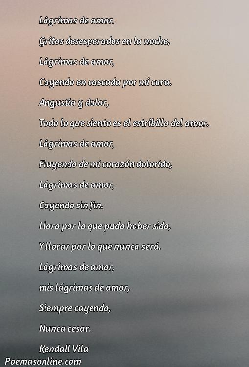 Excelente Poema de Lagrimas de Amor, Poemas de Lagrimas de Amor