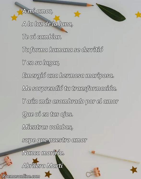 Hermoso Poema de Metamorfosis, Poemas de Metamorfosis
