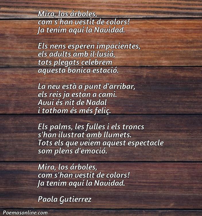 Lindo Poema de Navidad en Catalán, Poemas de Navidad en Catalán