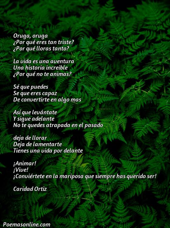 Mejor Poema de Oruga a Mariposa, Cinco Poemas de Oruga a Mariposa
