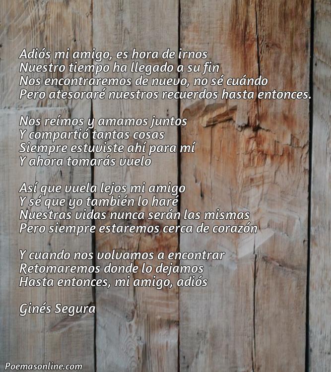 Inspirador Poema de Partida de un Ser Querido, Poemas de Partida de un Ser Querido