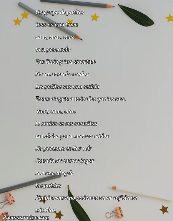 Lindo Poema de Patitos, 5 Mejores Poemas de Patitos