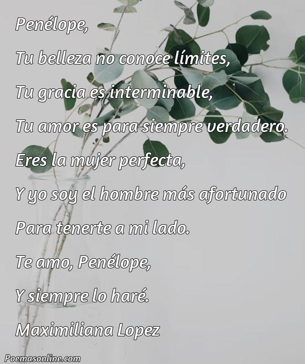 Hermoso Poema de Penélope, Poemas de Penélope