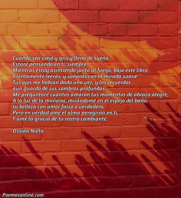 Lindo Poema de Petrarca, 5 Poemas de Petrarca