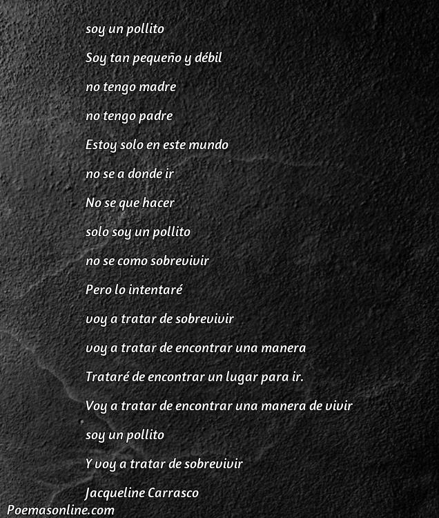 Lindo Poema de Pollito, Cinco Mejores Poemas de Pollito