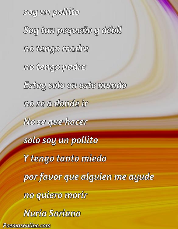 Mejor Poema de Pollito, Poemas de Pollito