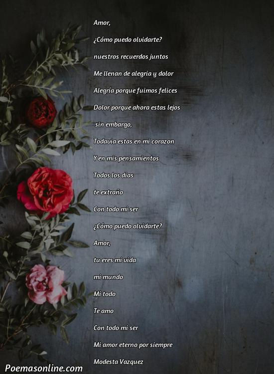 Hermoso Poema de Recuerdos de Amor, Cinco Poemas de Recuerdos de Amor