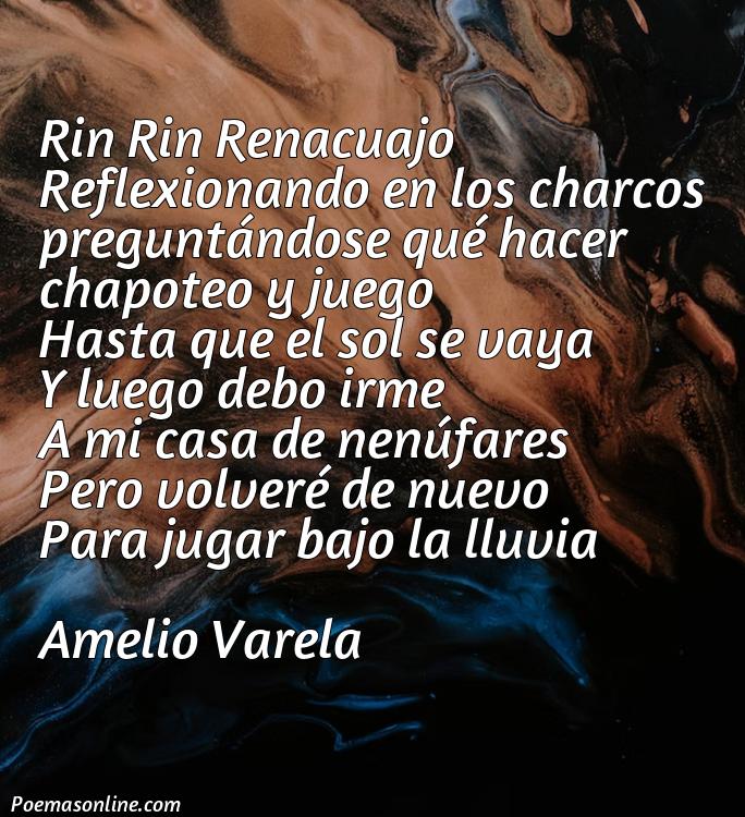 Corto Poema de Rin Rin Renacuajo, Poemas de Rin Rin Renacuajo