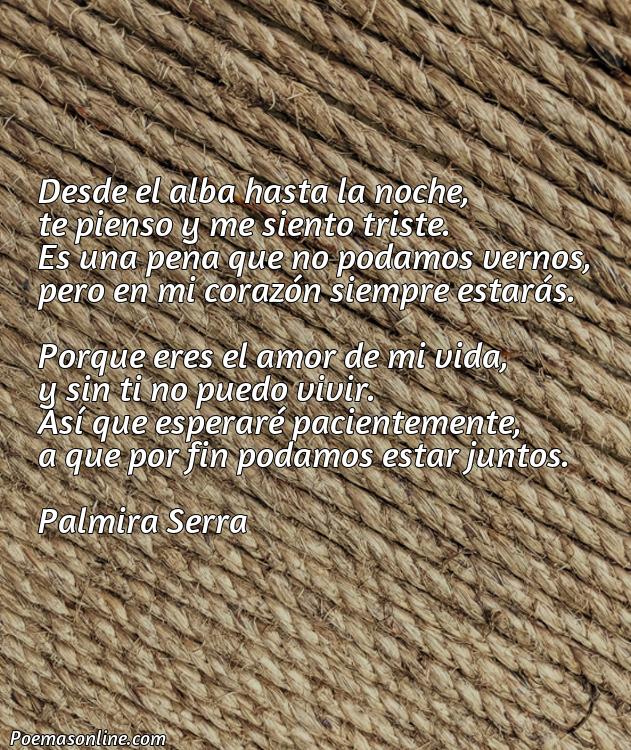 Cinco Mejores Poemas de Rumi en Castellano