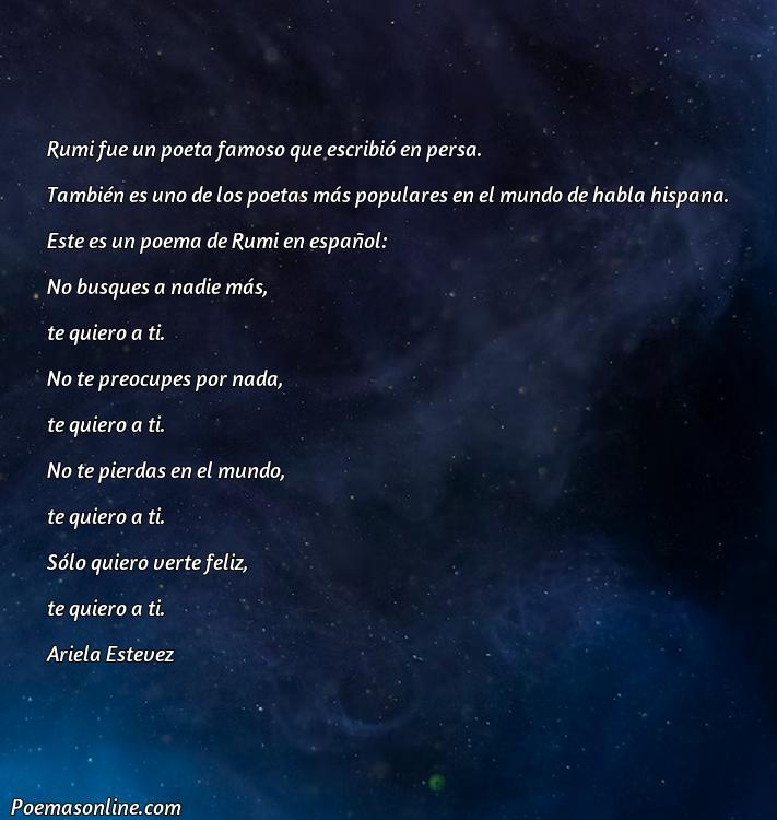 Reflexivo Poema de Rumi en Castellano, Cinco Mejores Poemas de Rumi en Castellano