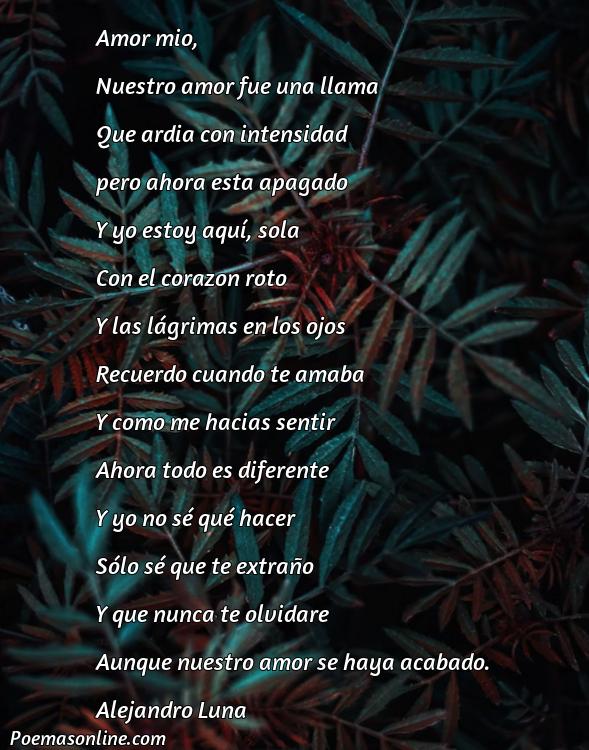 Corto Poema de Ruptura Amorosa, 5 Mejores Poemas de Ruptura Amorosa