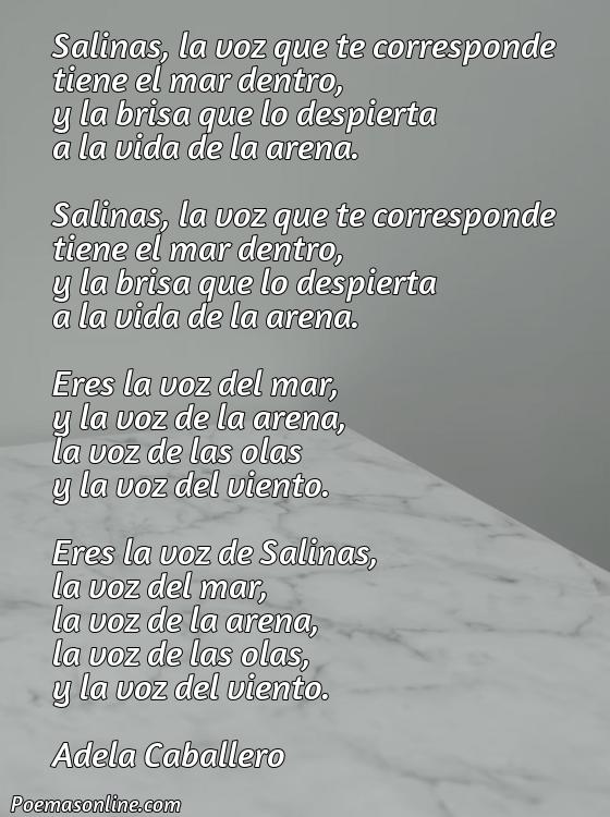Inspirador Poema de Salinas la Voz a Ti Debida, Poemas de Salinas la Voz a Ti Debida
