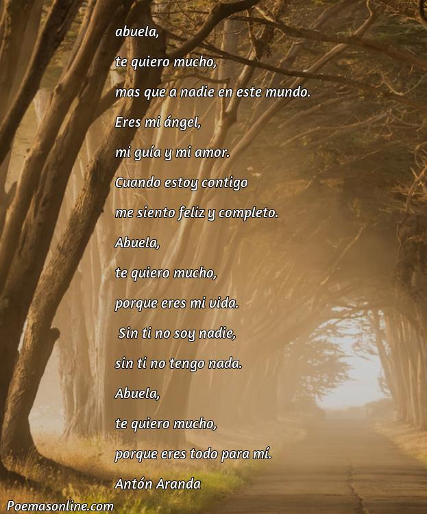 Lindo Poema de un Nieto a su Abuela, Cinco Poemas de un Nieto a su Abuela