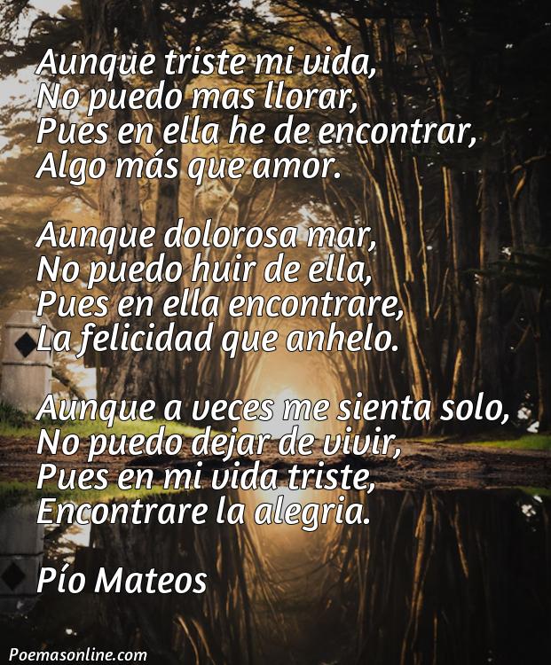 Corto Poema de Vida Triste, Cinco Poemas de Vida Triste