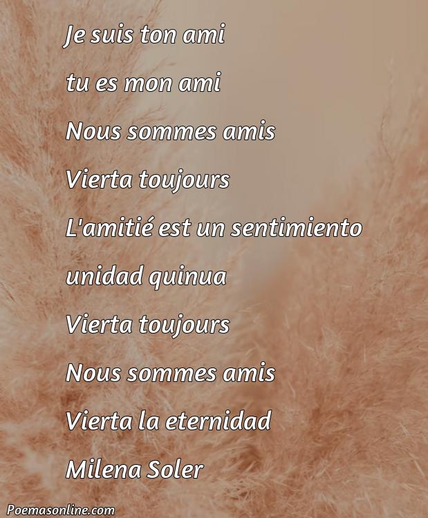 Cinco Mejores Poemas en Francés de Amistad